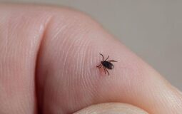 Safeguarding Adventures: Protect Yourself from Ticks and Outdoor Pests