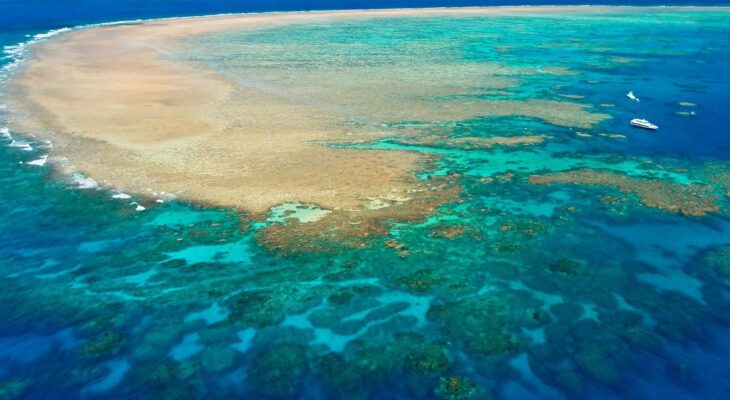 Great Barrier Reef: A Kaleidoscope of Underwater Wonders in the Heart of Australia